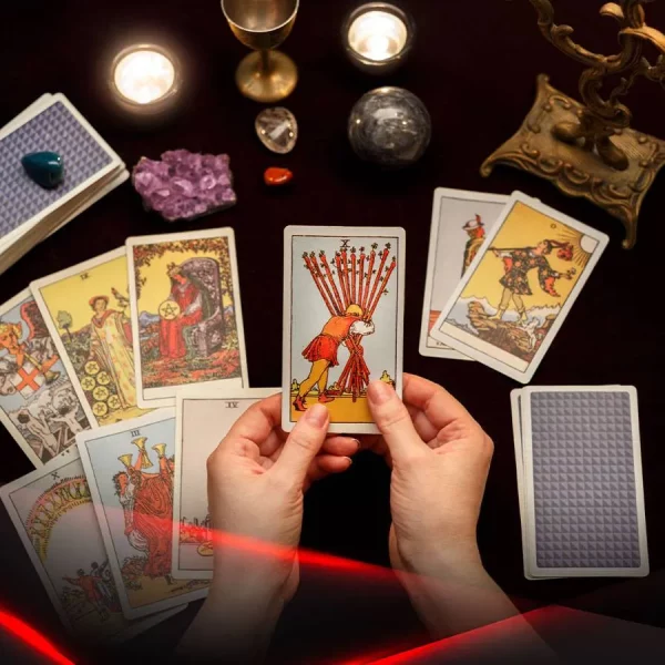 Food Traceability & Recall Automation